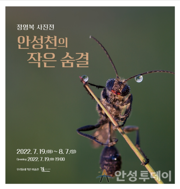 안성시 결 갤러리 ‘안성천의 작은 숨결 사진전’ 개최. /사진=안성시 제공